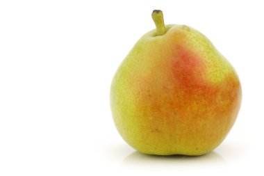 Anjou Pear clipart