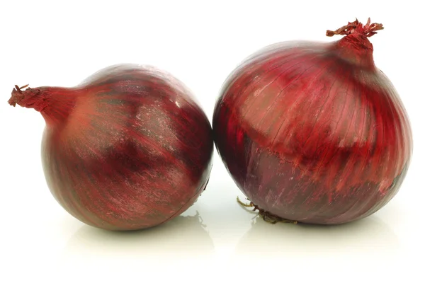 Deux oignons rouges frais — Photo