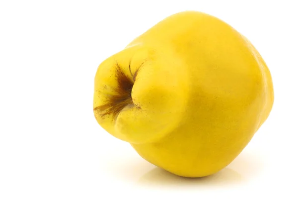Frutti di mela cotogna "Cydonia oblonga " — Foto Stock