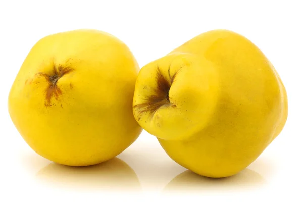 Two quince fruits "Cydonia oblonga" — Stock Photo, Image
