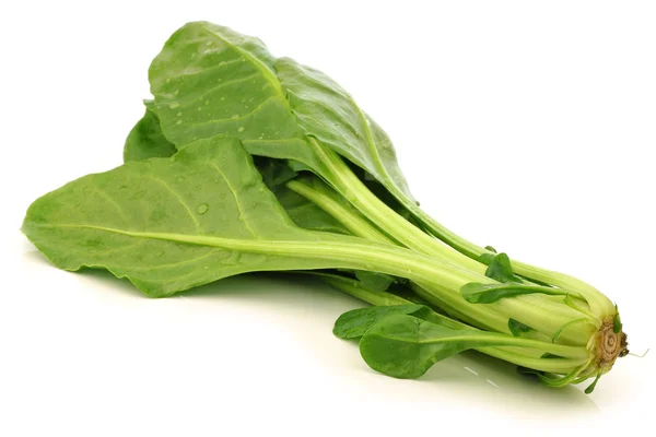 Chinese spinach (Ipomoea aquatica) — Stock Photo, Image
