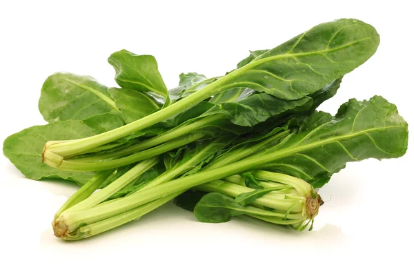 Chinese spinach (Ipomoea aquatica) — Stock Photo, Image