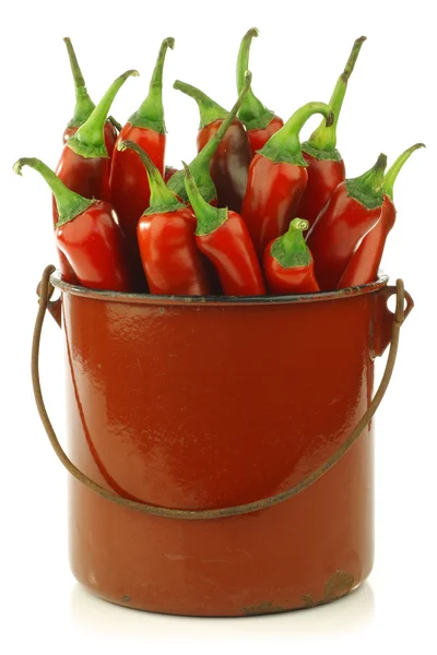 Färsk röd chili paprika i en gammal emalj kokkärl — Stockfoto