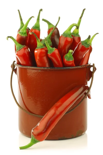 Čerstvá červená chilli papričky v staré smaltované hrnec na vaření — Stock fotografie