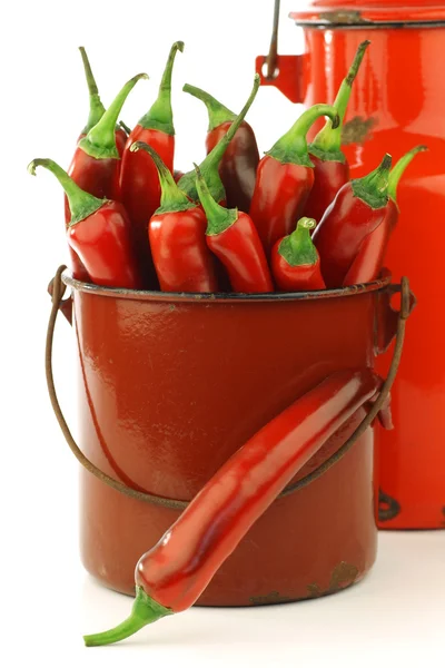Čerstvá červená chilli papričky v starého smalt hrnec na vaření — Stock fotografie