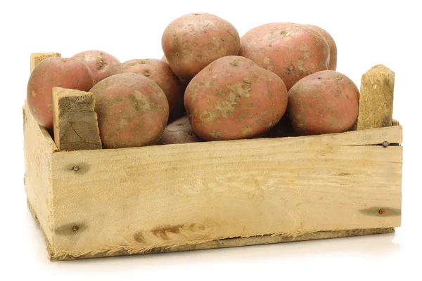 Frissen betakarított holland burgonya úgynevezett "bildtstar", egy fából készült láda — Stock Fotó