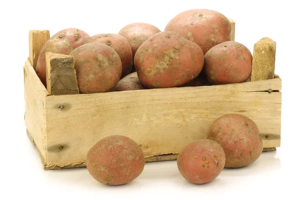 Batatas holandesas recém-colhidas chamadas "Bildtstar" em uma caixa de madeira — Fotografia de Stock