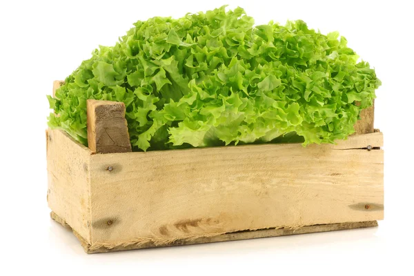 Freshly harvested Lollo Bionda lettuce in a wooden crate — Stock Photo, Image