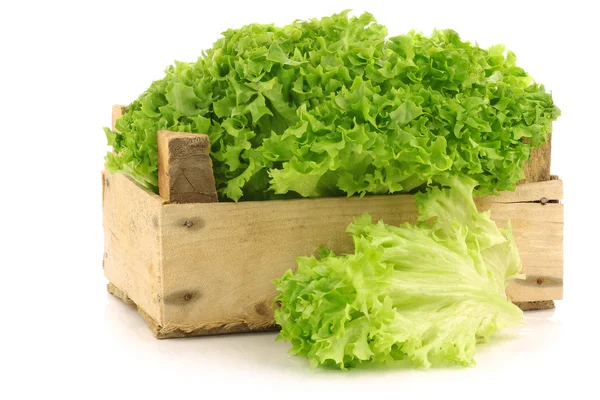 Свежесобранный салат Lollo Bionda в деревянном ящике — стоковое фото