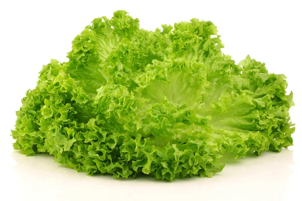 Frisch geernteter Lollo Bionda Salat — Stockfoto