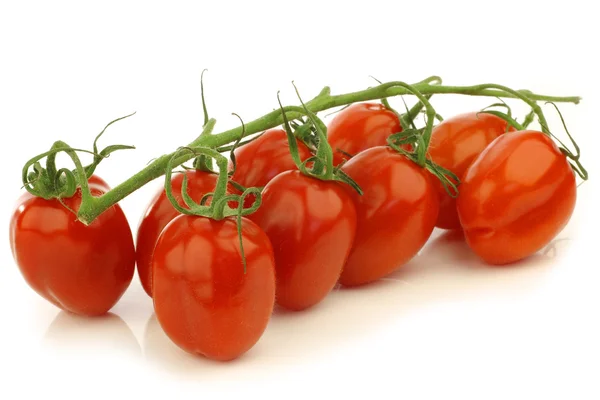 Färska italienska pomodori tomater på rankan — Stockfoto
