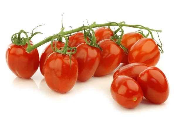 Frische italienische Pomodori-Tomaten am Weinstock — Stockfoto