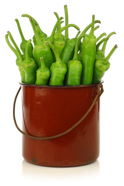 Nyskördade jalapeno paprika i en emalj kokkärl — Stockfoto