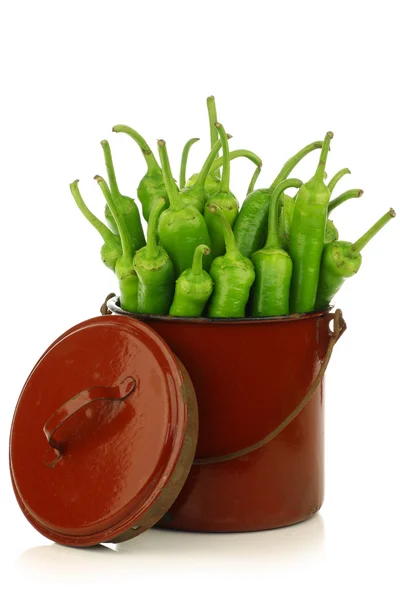 Frisch geerntete Jalapeño-Paprika in einem Emaille-Kochtopf — Stockfoto