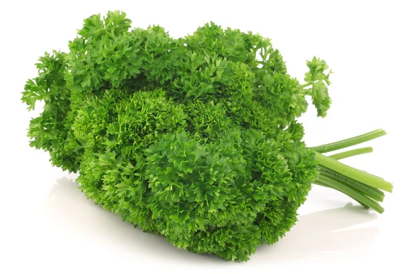 Bundle of fresh parsley — Stock Photo, Image