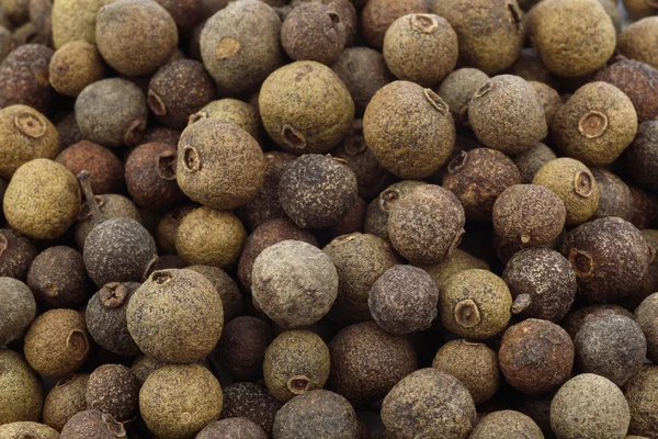 stock image Dried allspice(Jamaica pepper)