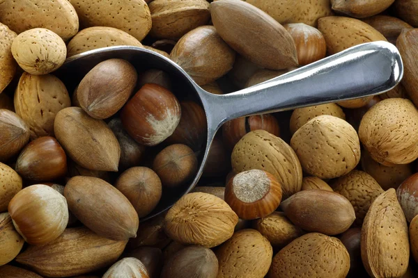 Pozadí nejrůznějších ořechů — Stock fotografie