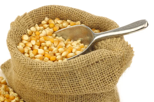 Gul majs korn i en säckväv säck med en aluminium scoop — Stockfoto