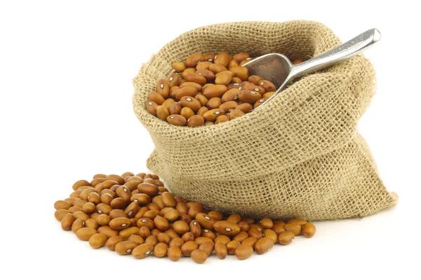 Brown beans in a burlap bag with an aluminum scoop — Stock Photo, Image