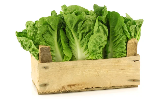 Fresh "little gem" lettuce in a wooden crate — Stock Photo, Image