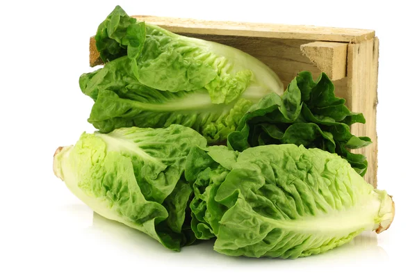 Frischer "kleiner Edelstein" Salat in einer Holzkiste — Stockfoto