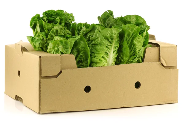 Fresh "little gem" lettuce in a cardboard box — Stock Photo, Image