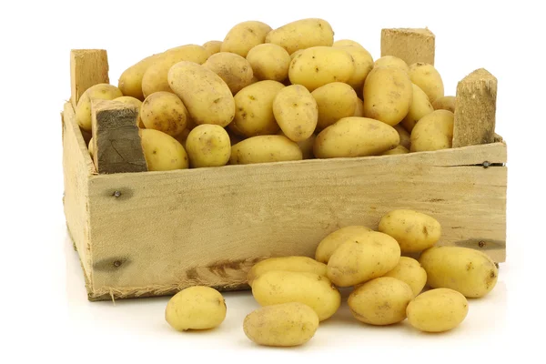 Свіжозібрана картопля обов'язкового насіння — стокове фото