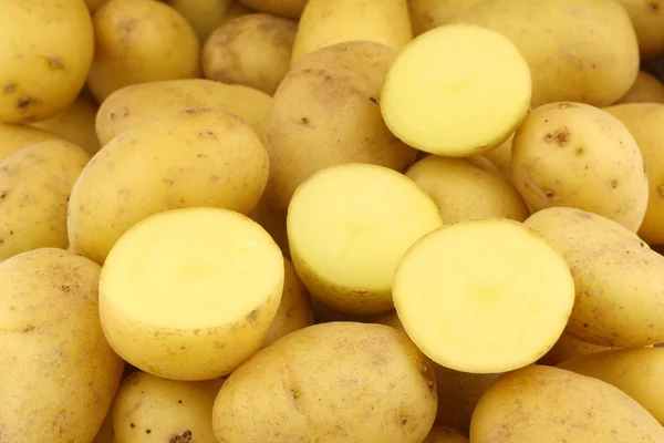 Pozadí čerstvě sklizené holandské sadby brambor — Stock fotografie