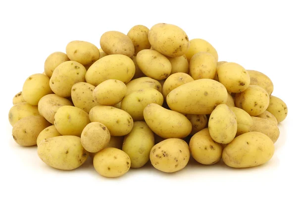 Bündel frisch geernteter holländischer Saatkartoffeln — Stockfoto