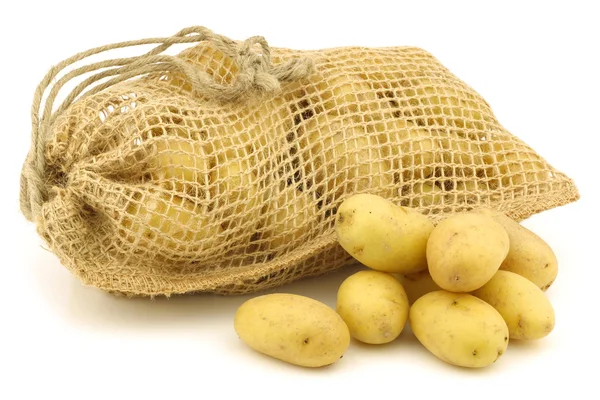 黄麻布の袋に新鮮な収穫オランダの種子ジャガイモ (krieltjes) — ストック写真