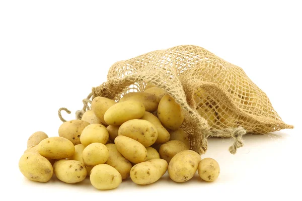 Patatas holandesas recién cosechadas (krieltjes) en un saco de arpillera — Foto de Stock