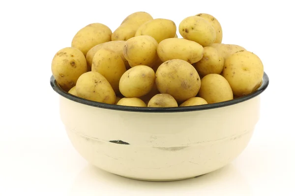 Свежесобранный голландский семенной картофель — стоковое фото