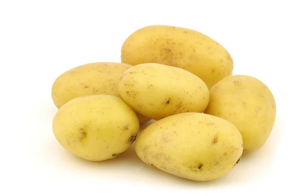 Ramo de patatas de siembra holandés recién cosechadas — Foto de Stock