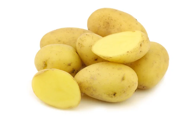 Bündel frisch geernteter holländischer Saatkartoffeln — Stockfoto