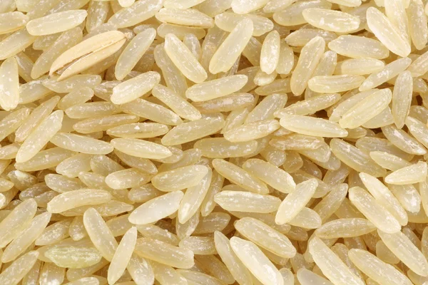Нешліфований рис (ціле зерно ) — стокове фото