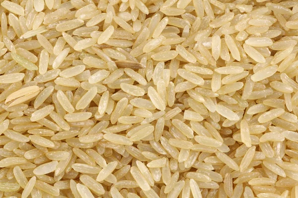 Unpolished rice (whole grain) — Stock Photo, Image