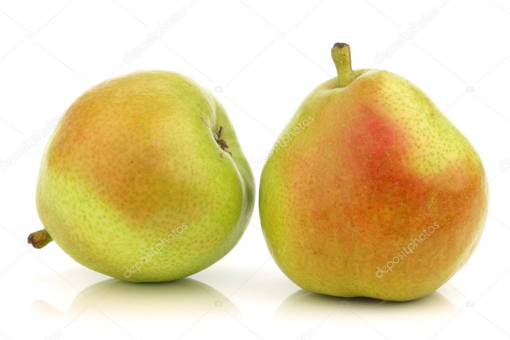 Two Anjou Pears — Stock Photo © tpzijl 11353304