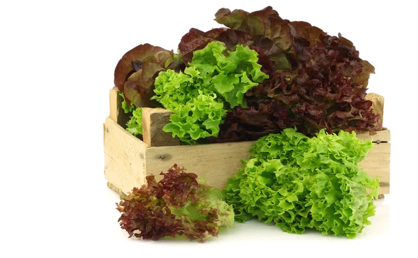 Assorted lettuce in a wooden box — Stock Photo, Image