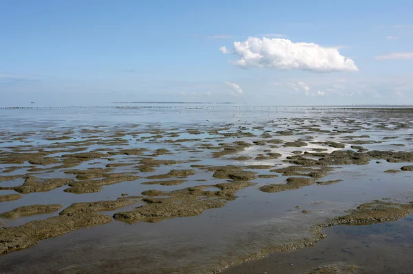 gelgit wadden Denizi, sınırları