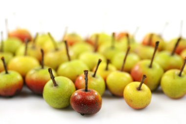 Malus Pumila (crabapple meyvelerini)