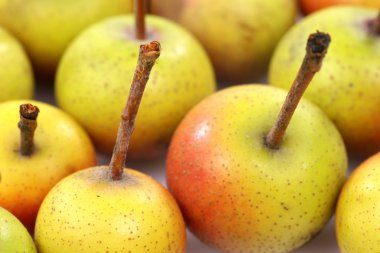 Malus Pumila (crabapple meyvelerini)