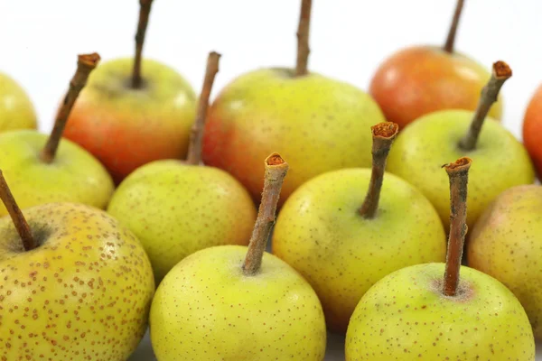 Malus Pumila (crabapple meyvelerini)