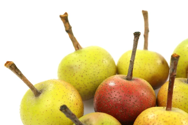 Frukterna av Malus Pumila (crabapple) — Stockfoto