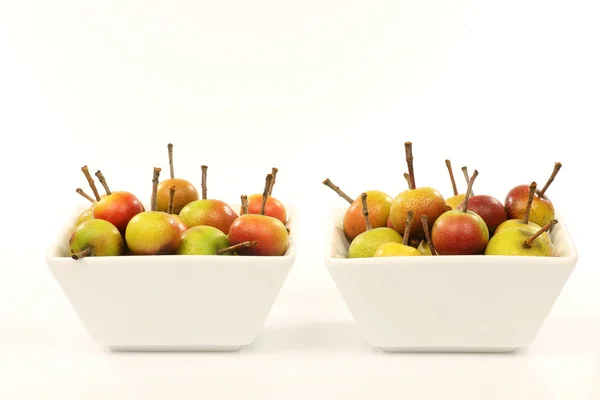 stock image Fruits of the Malus Pumila (crabapple