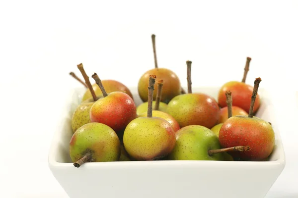 stock image Fruits of the Malus Pumila (crabapple)