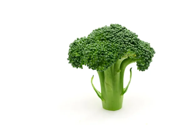 Floreto de brócolis — Fotografia de Stock