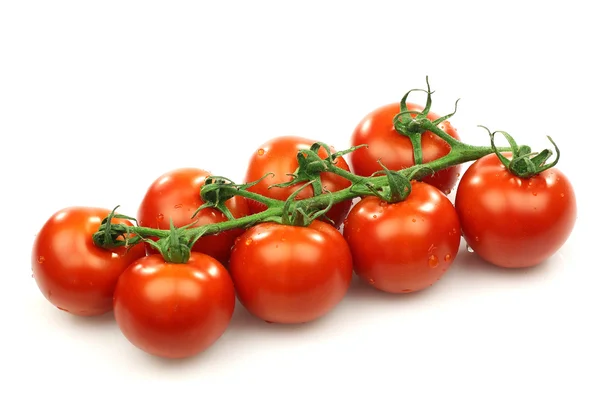 Un bouquet de tomates rouges fraîches sur la vigne — Photo