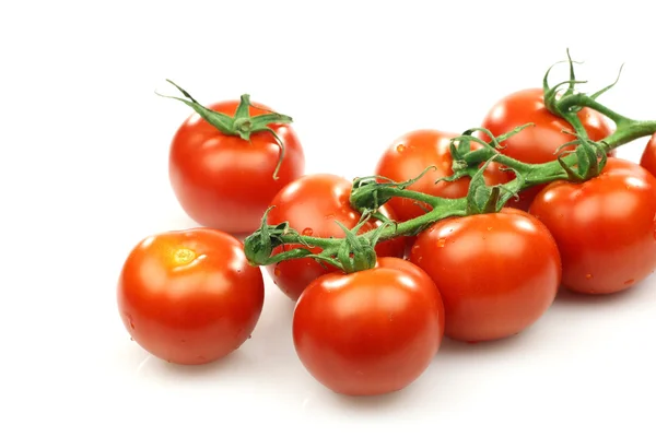 一群在葡萄藤上的新鲜红番茄 — 图库照片