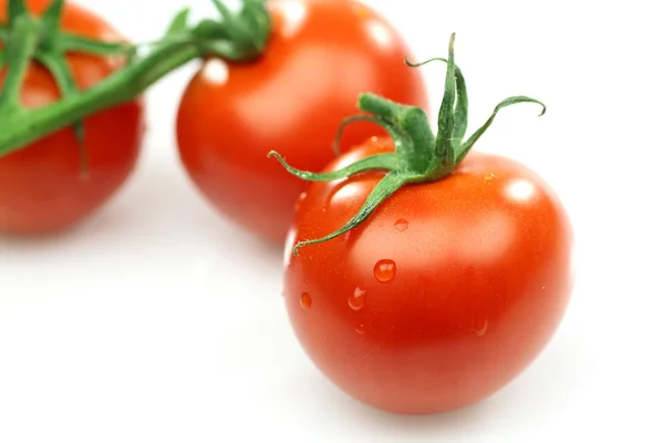 Tres tomates rojos frescos — Foto de Stock