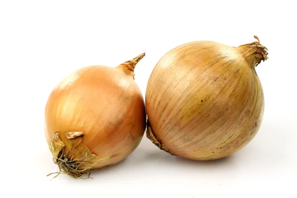 Two onions — Stock Photo, Image
